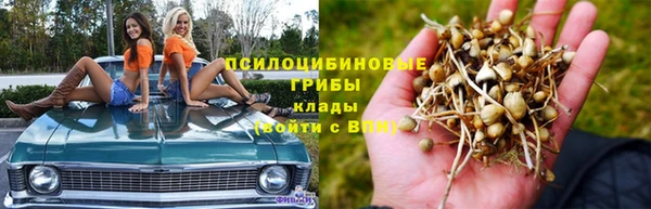 гашиш Приозерск