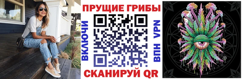 Псилоцибиновые грибы Cubensis  Куса 